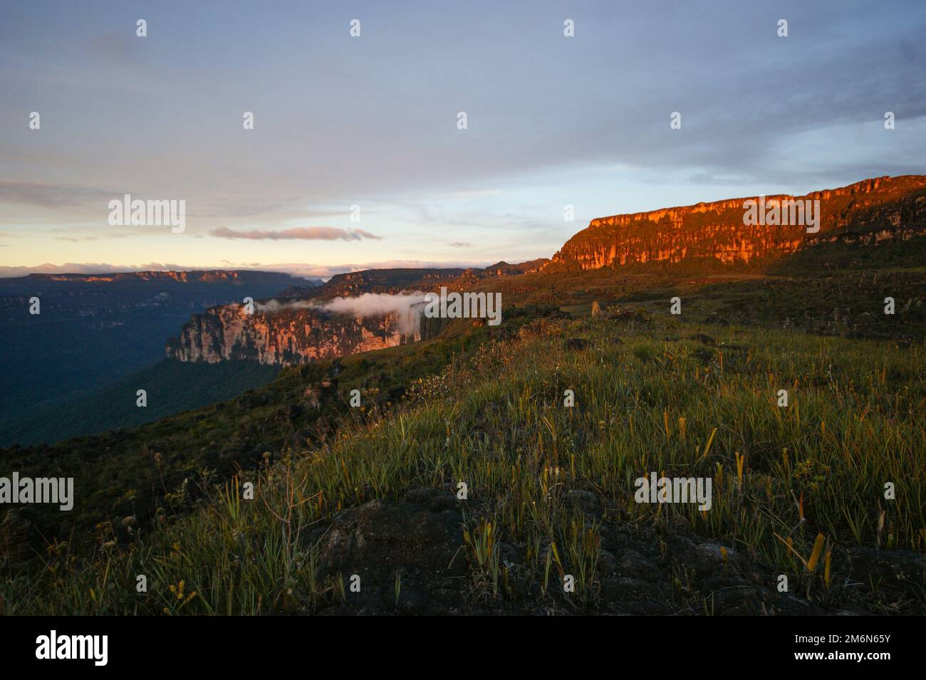 Sonnenuntergang über den Felsformationen auf einem Plateau von Amuri Tepui, Venezuela Stockfoto