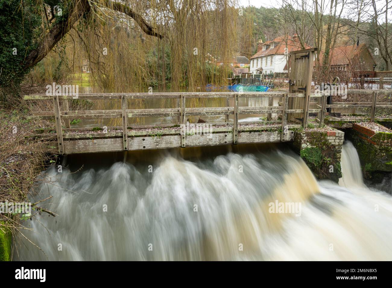 Wetter am 2023. Januar, sehr hoher Wasserstand auf dem Fluss Wey am Wehr neben Waverley Mill bei Farnham, Surrey, England, Großbritannien Stockfoto