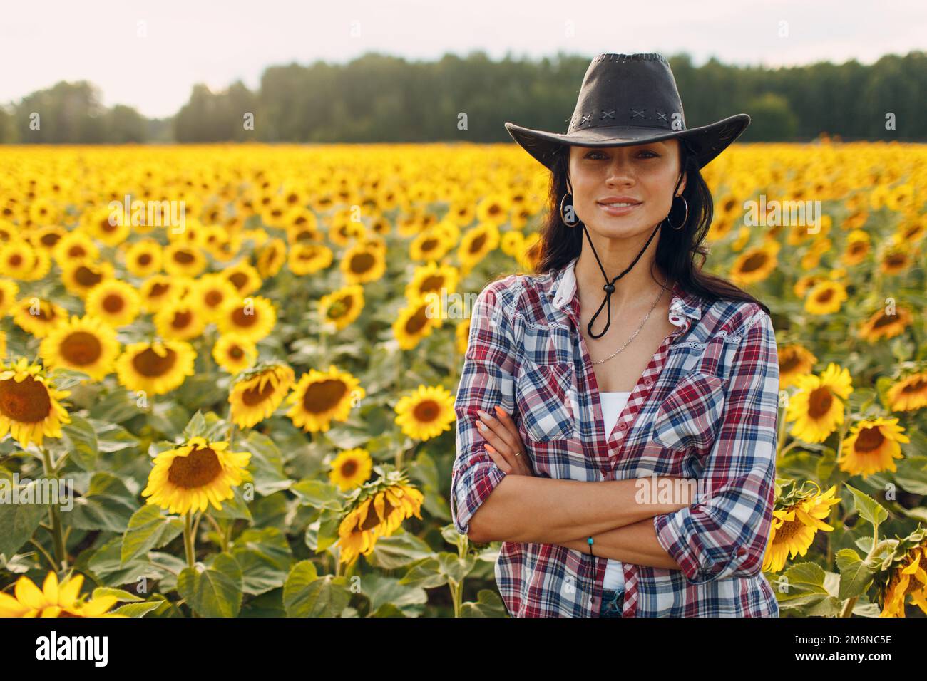 Junge Frau Agronomin trägt Cowboyhut, kariertes Hemd und Jeans auf Sonnenblumenfeld. Umfassendes Erntekonzept. Stockfoto