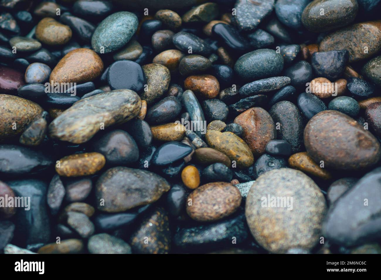 Nasse Strandkieselsteine in verschiedenen Farben und Größen Stockfoto