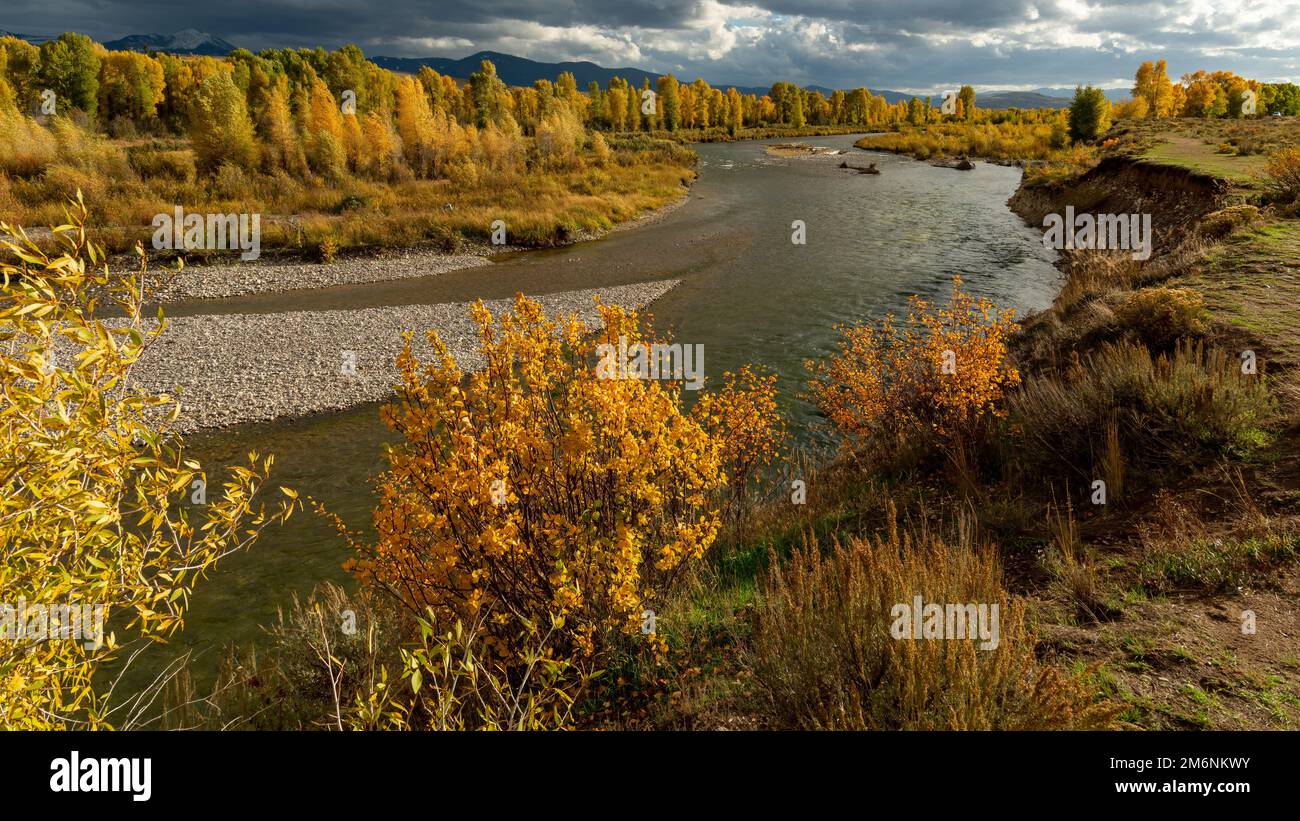 Blick auf den Gros Ventre River im Herbst Stockfoto