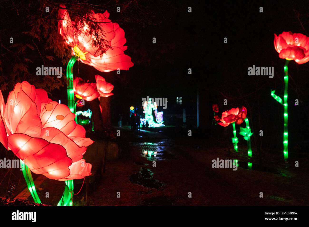 Ausstellung der Lichtskulptur China Lights in Emmen, Niederlande Stockfoto
