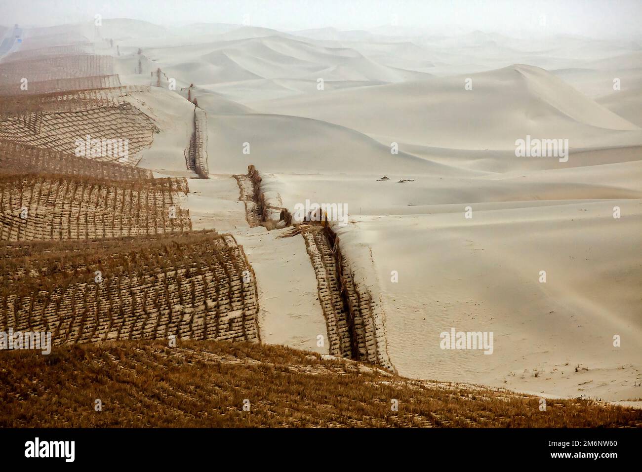 Stroh gepflanzt, um zu verhindern, dass sich der Wüstensand von Taklamakan auf Straßen und Wohngebiete verlagert. Tarim-Becken. Autonome Region Xinjiang (Sinkiang) Stockfoto