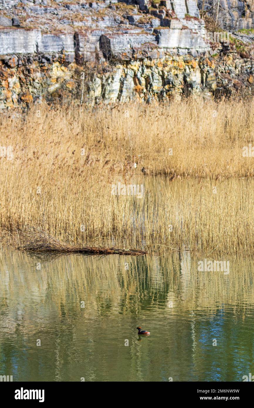 Ein alter verlassener Steinbruch mit einem Hornengel Stockfoto