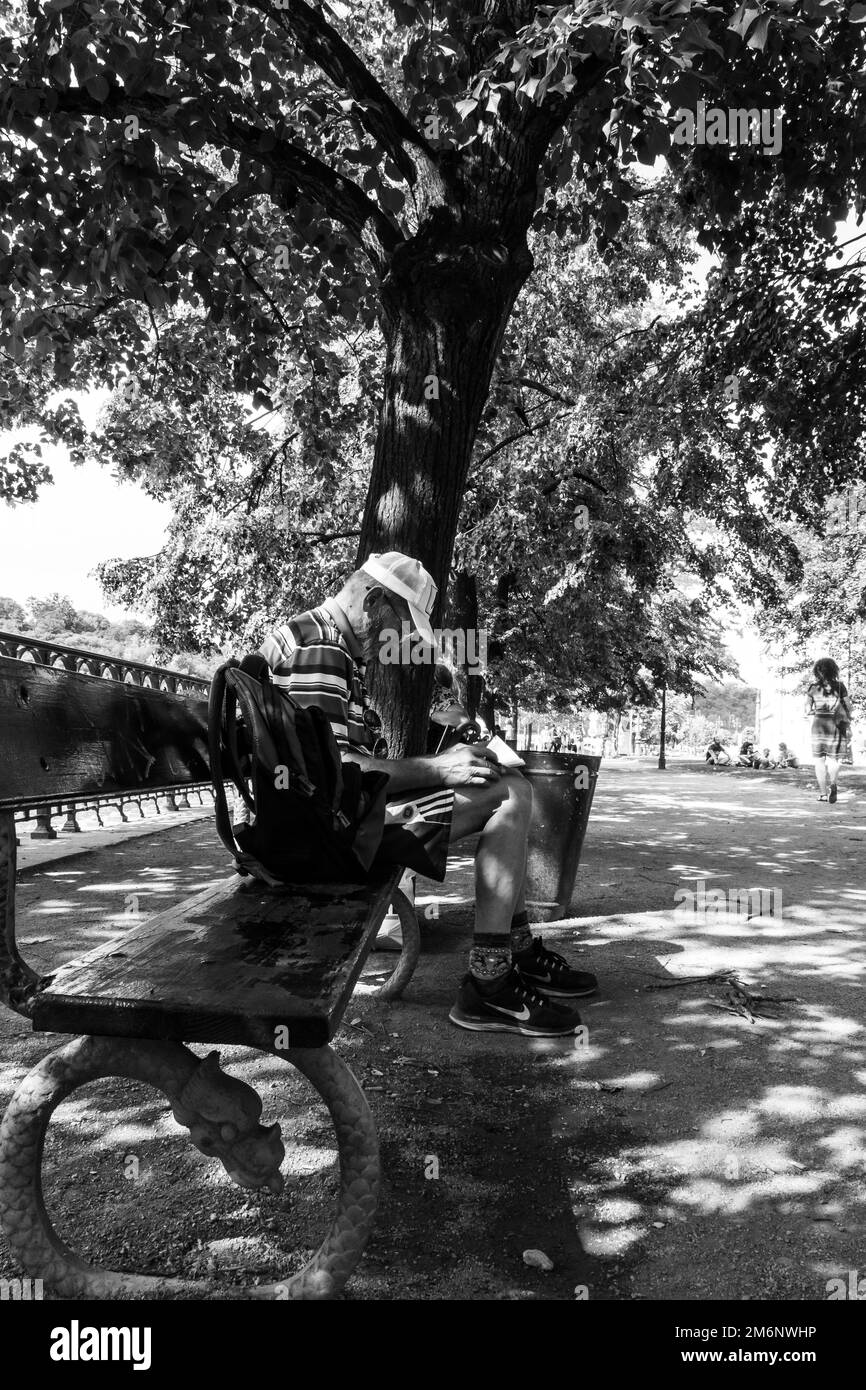 Ein alleinstehender Mann mit Baseballmütze und Brille sitzt auf einer Bank unter einem Baum in einem Park und liest. Andere Leute entspannen sich auf dem Rasen oder gehen vorbei Stockfoto