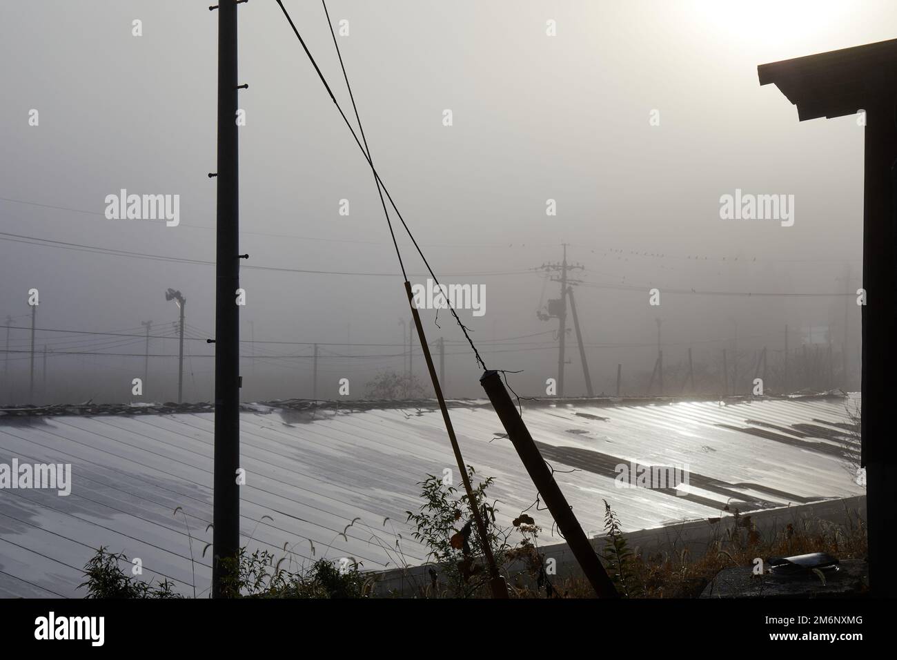 Altes Gewächshaus im Morgenlicht, Winter; Izumo, Präfektur Shimane, Japan Stockfoto