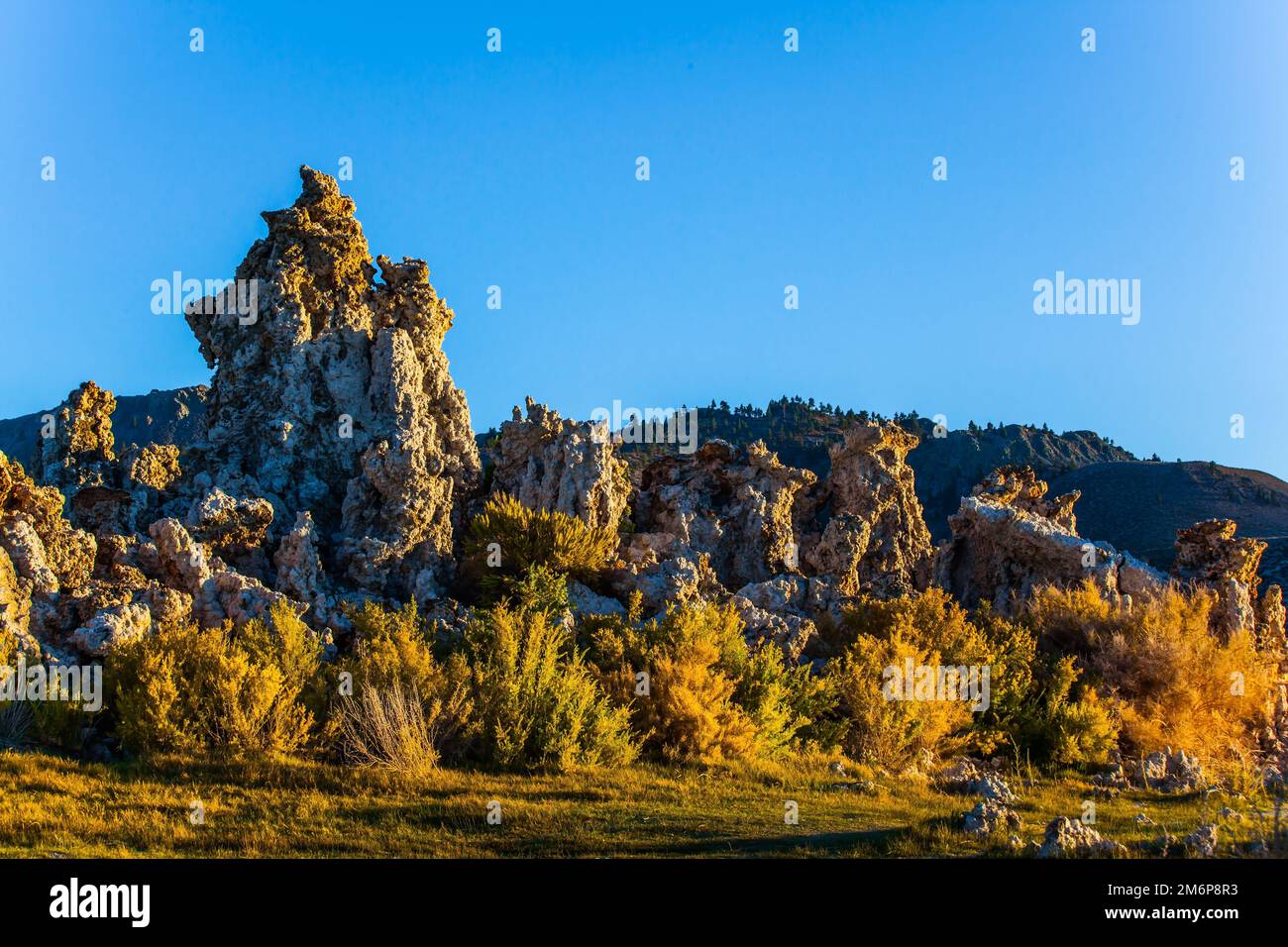 Der Mono-See. Kalifornien Stockfoto