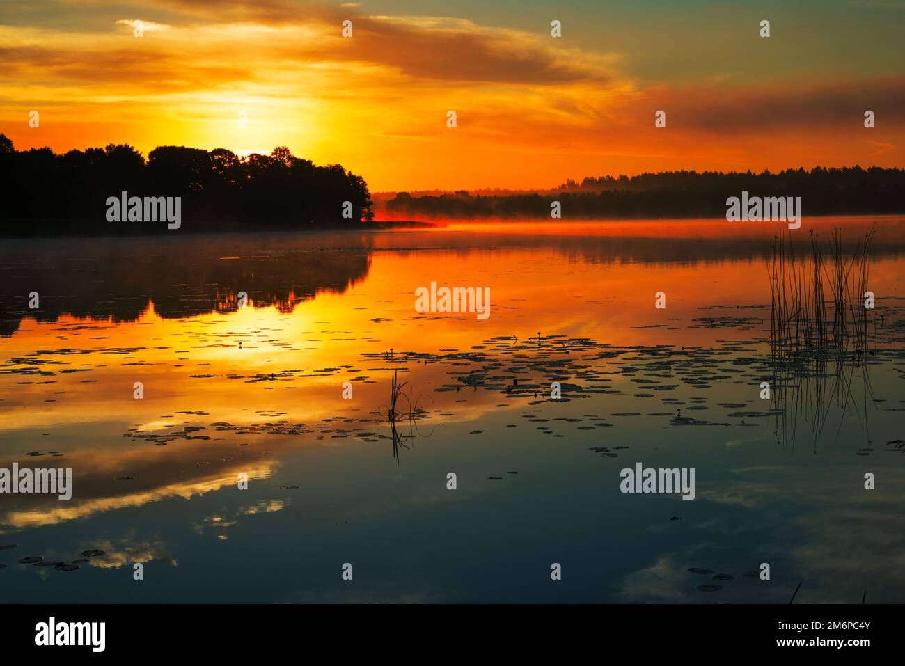 Weidelandschaft mit dramatischem Himmel auf dem See in Belarus Stockfoto