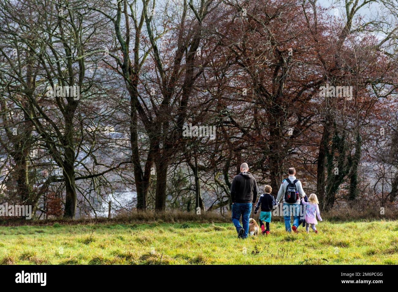 Familienspaziergang mit Hund, Batheaston, Somerset, England, Großbritannien Stockfoto