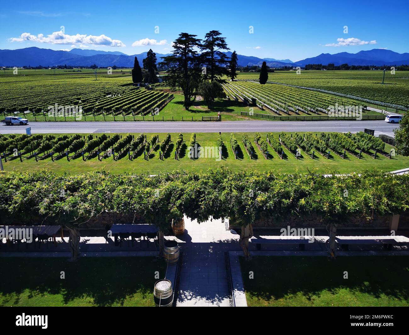 Ein Bild eines Wither Hills Vineyard voller grüner Bäume und Natur Stockfoto