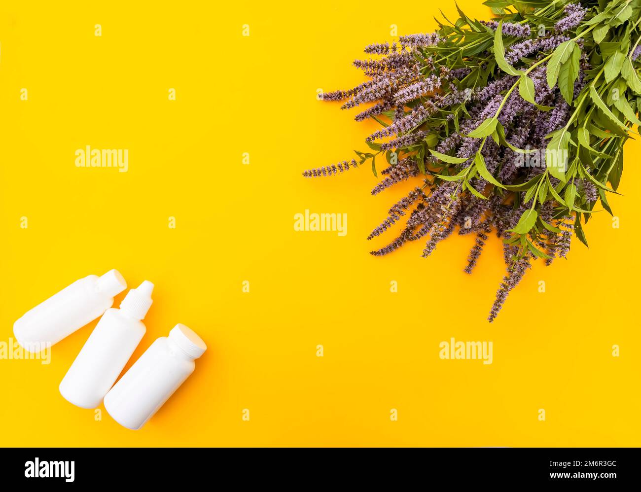 Weiße Kunststoffbehälter und frische Minzblumen für kosmetische Mittel oder Kräutertee. Medizinische Pflanzen. Stockfoto