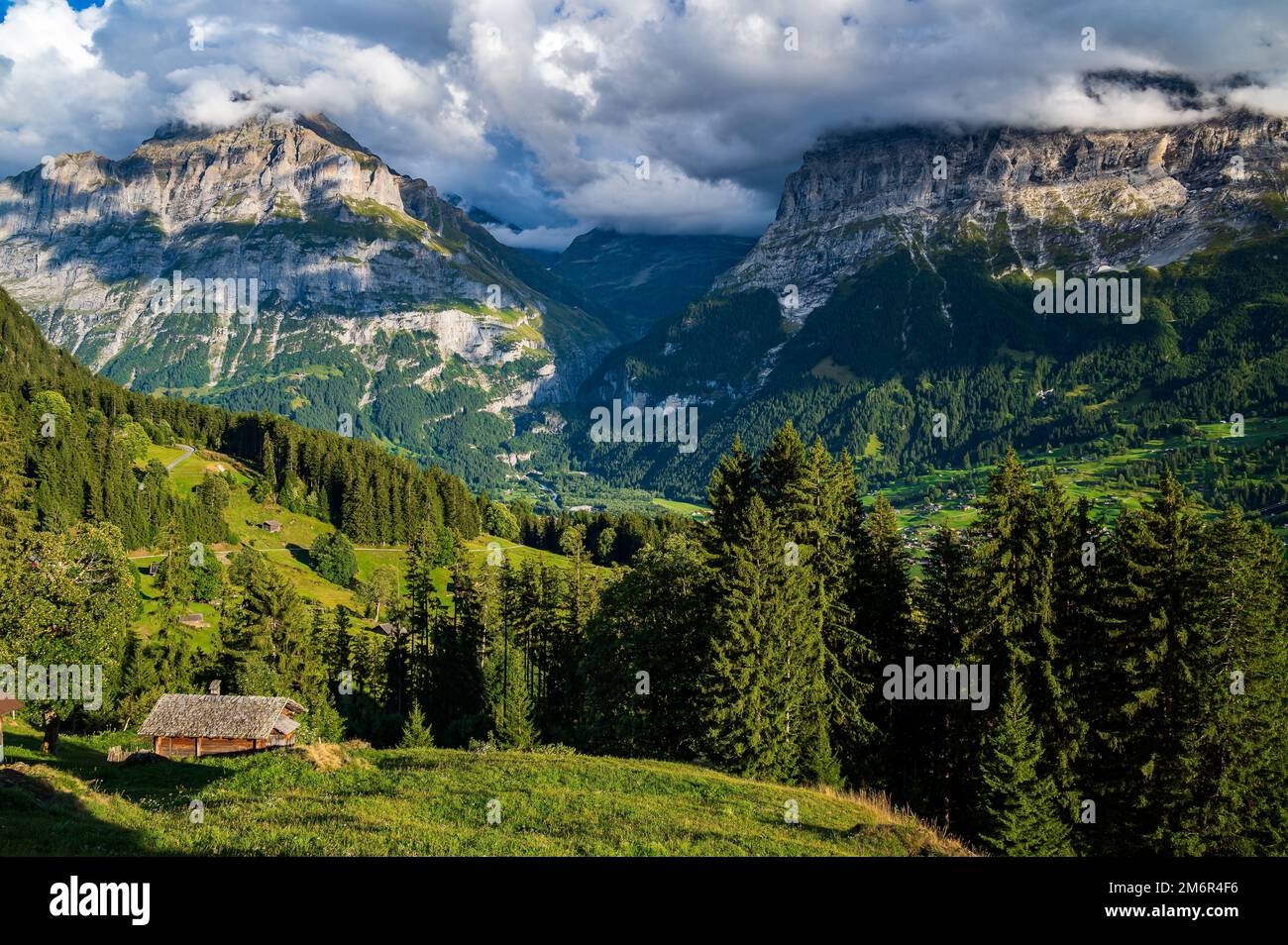 Berghütte in Grindelwald Stockfoto