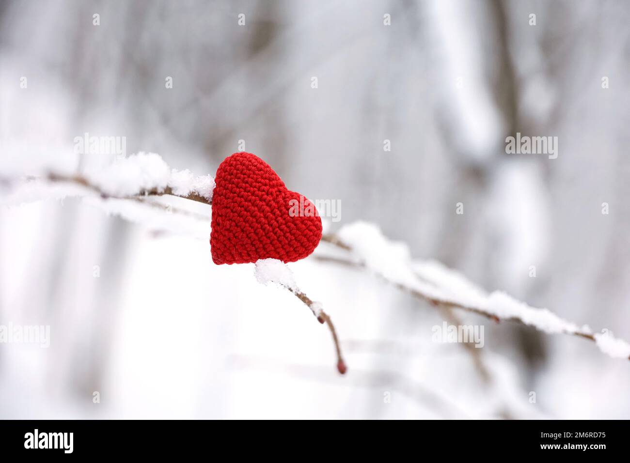 Gestricktes Liebesherz auf einem Ast, der im Winterwald mit Schnee bedeckt ist. Konzept der Neujahrsfeier oder des Valentinstages Stockfoto