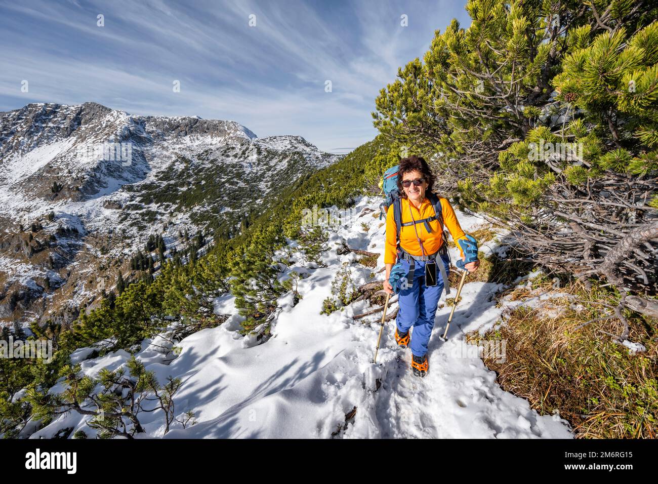 Wandern Sie zwischen Bergkiefern, Wanderweg nach Weitalpspitz, im Hebrsten mit Schnee, auf dem hinteren felsigen Gipfel der Ammergauer Hochplatte, Ammergau Alpen Stockfoto