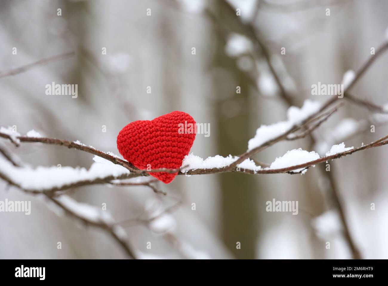 Gestricktes Liebesherz auf einem Ast, der im Winterwald mit Schnee bedeckt ist. Konzept der Neujahrsfeier oder des Valentinstages Stockfoto