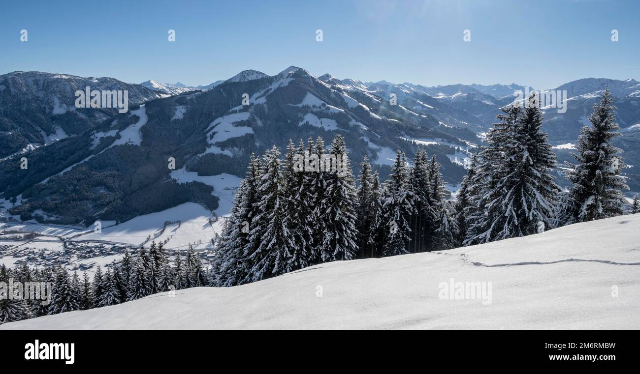 Alpenpanorama, Blick auf schneebedeckte Berge und Wälder von Bixen im Thale, Tirol, Österreich Stockfoto