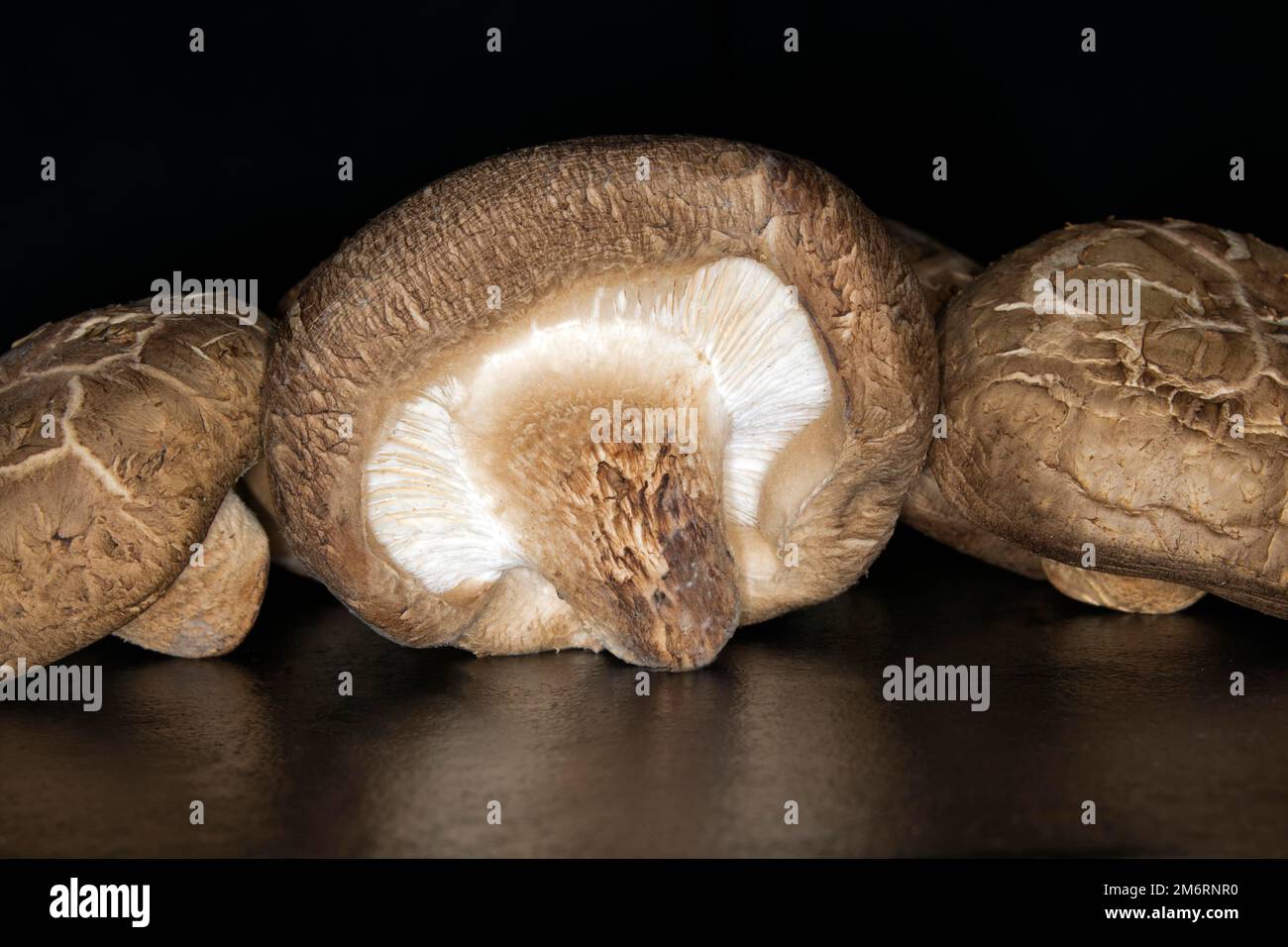 Shiitake-Pilze, Lebensmittelfotografie mit schwarzem Hintergrund Stockfoto