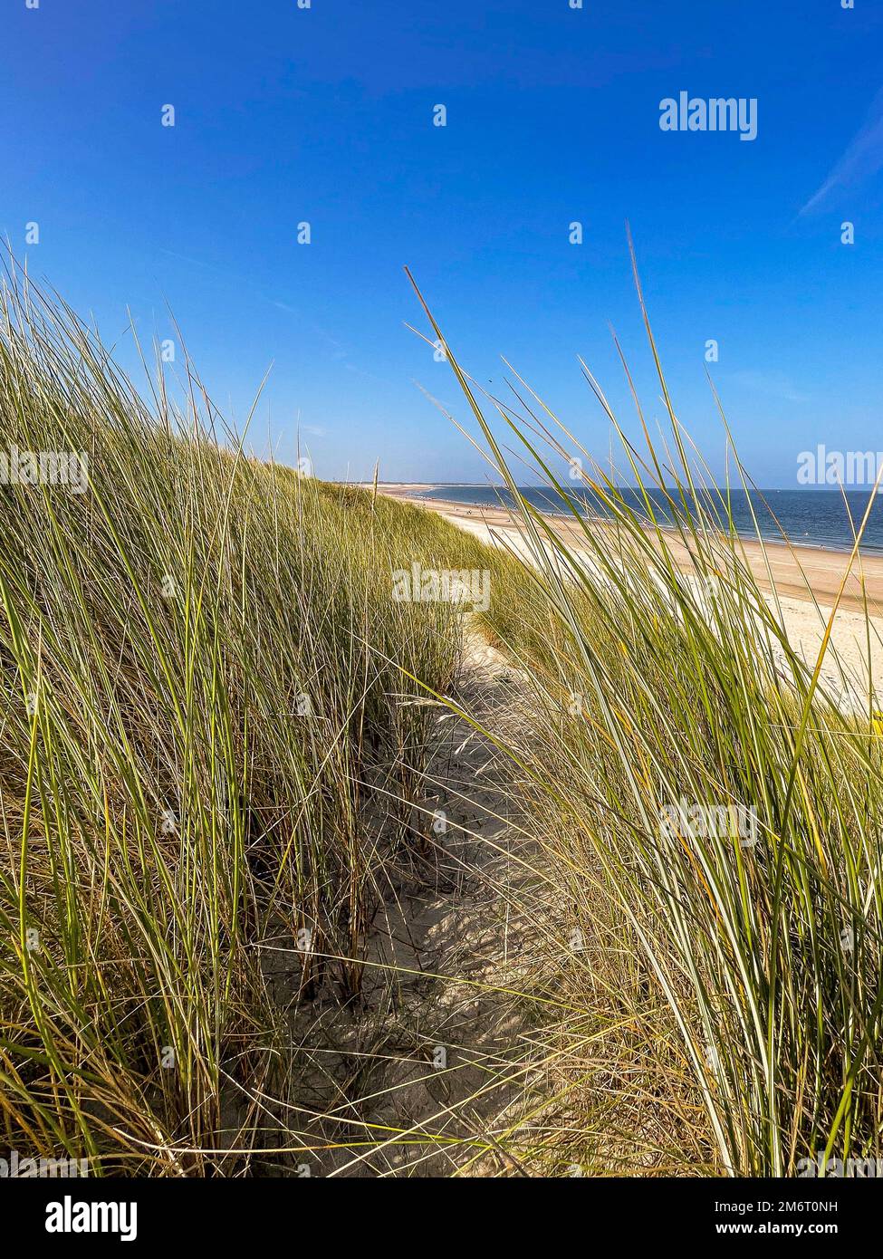 Wunderschöner Strand mit Dünen und Meer Stockfoto