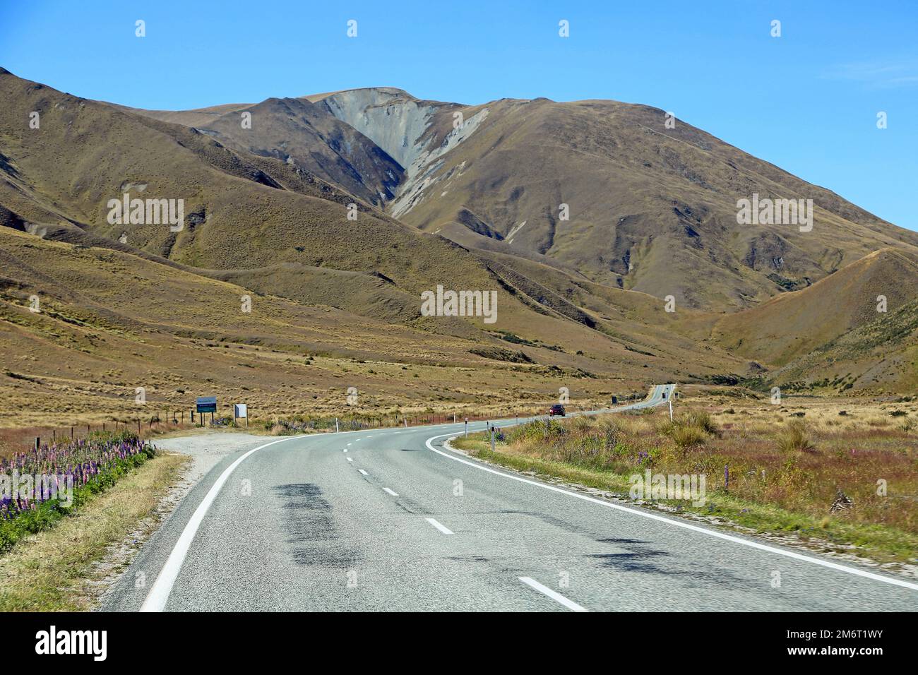 Wild Lupine und Lindis Pass - Neuseeland Stockfoto