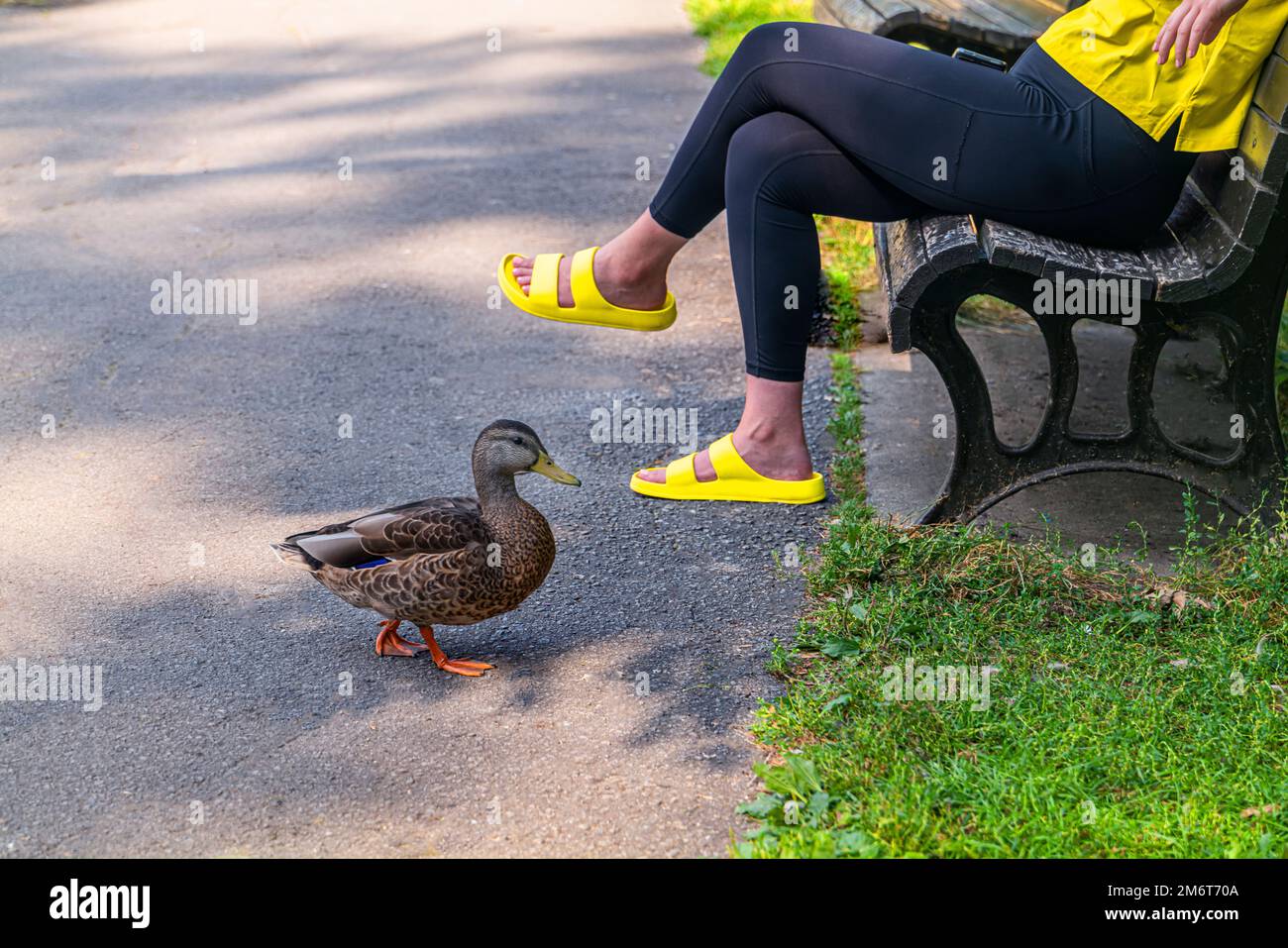 Duck dich mit einer Frau in gelben Schuhen Stockfoto