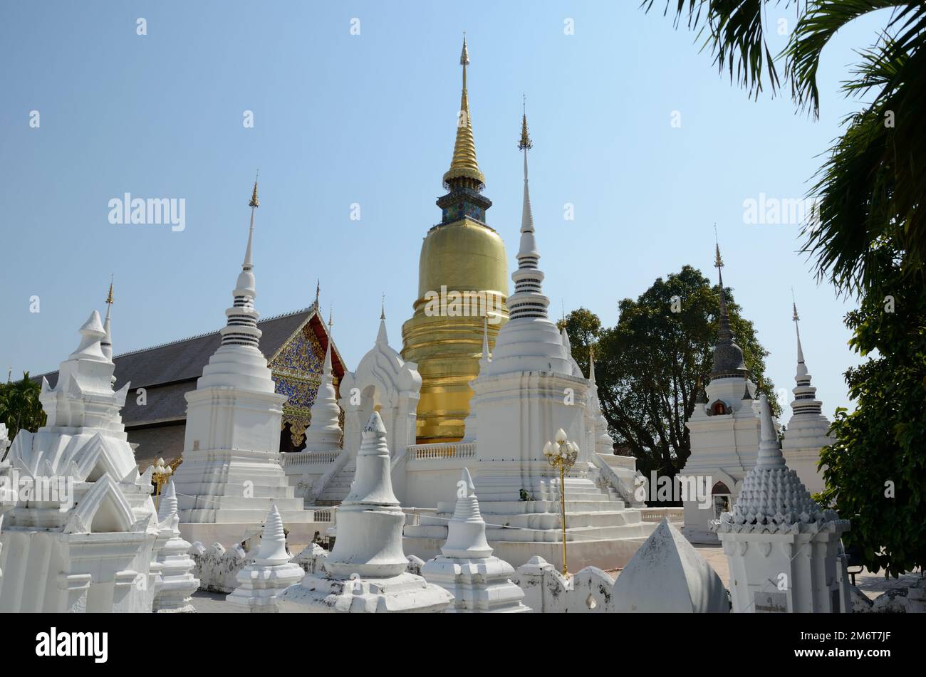 Wat Suan Dok, Chiang Mai, Thailand, Asien Stockfoto