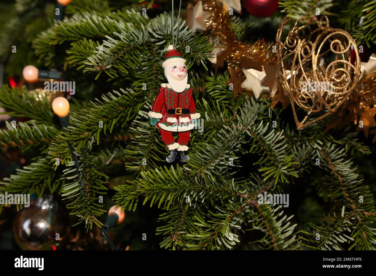Nahaufnahme der Weihnachtsmann-Dekoration auf dem echten Evergreen Weihnachtsbaum Stockfoto