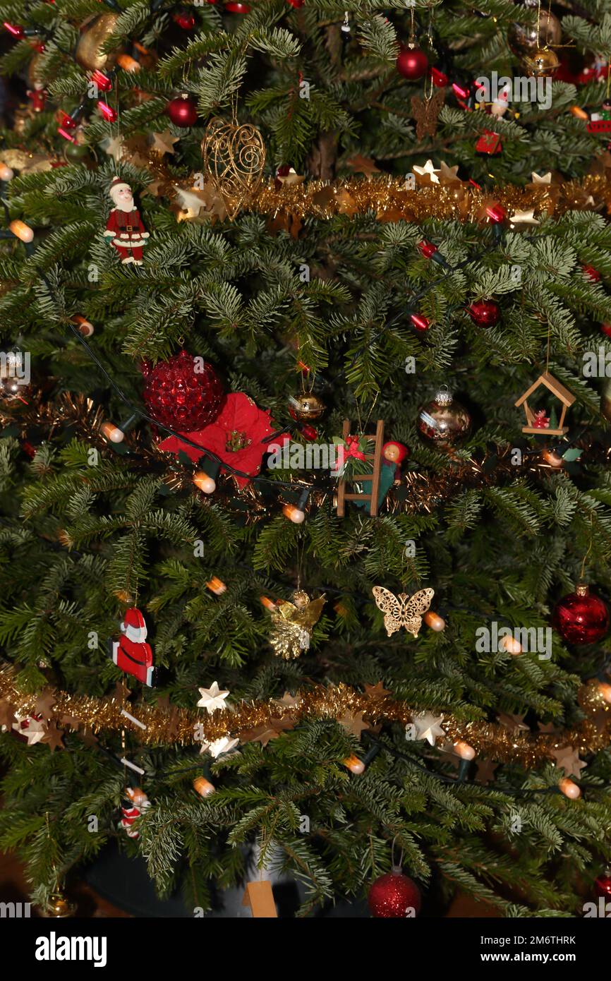 Dekorationen auf echtem Evergreen Weihnachtsbaum Stockfoto