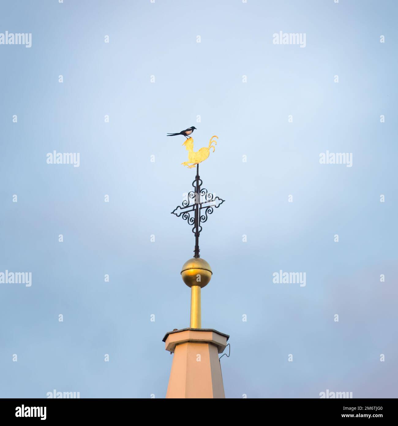 Europäische Elster (Pica pica) am Kreuz eines Kirchturms Stockfoto