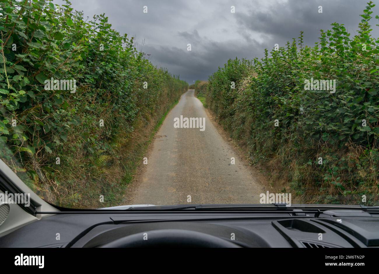 Ein Blick durch die Windschutzscheibe eines Wohnwagens, der auf einer extrem schmalen Landstraße mit hohen Hecken auf beiden Seiten fährt Stockfoto