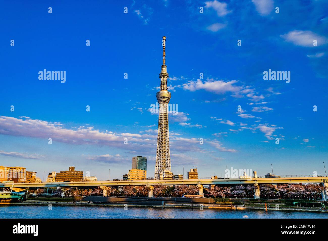 Himmel von Tokyo Sky Tree und schönes Wetter Stockfoto