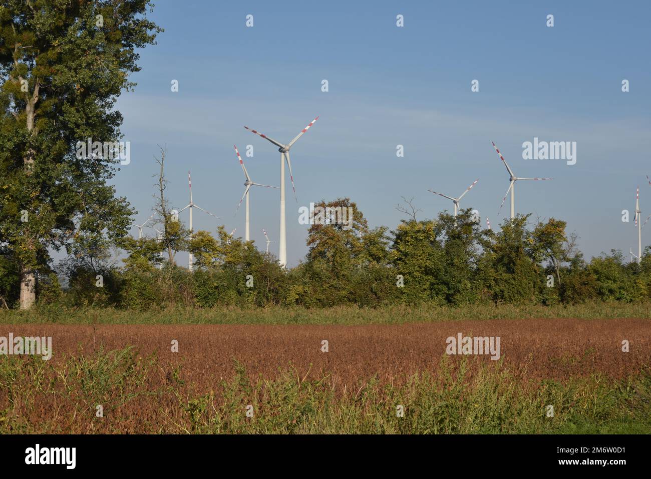 Elektrokraftwerk in der Nähe von Prellenkirchen in niederösterreich, Österreich Stockfoto