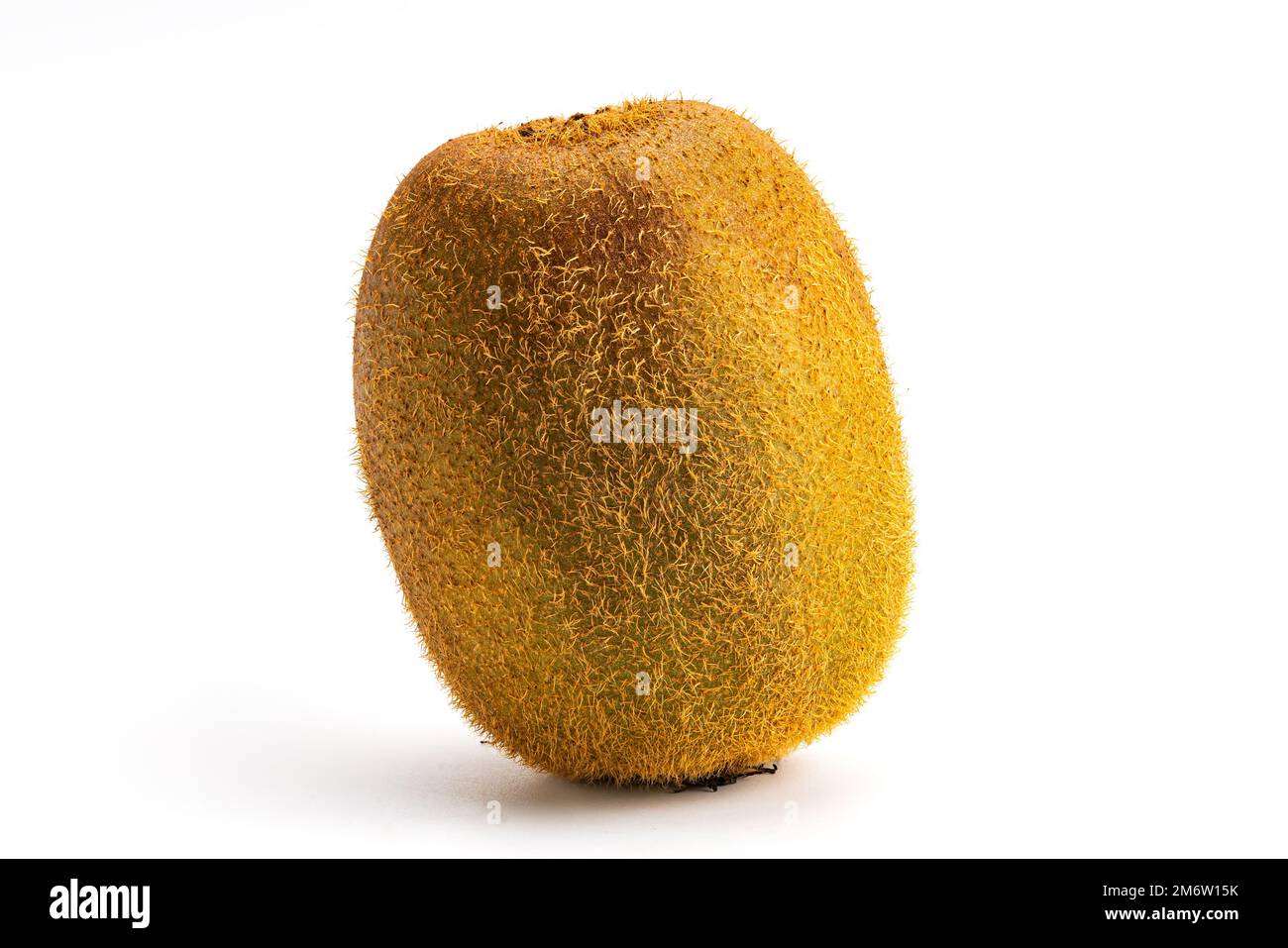 Einzelne frische, reife, haarige Kiwis, isoliert auf weißem Hintergrund. Stockfoto