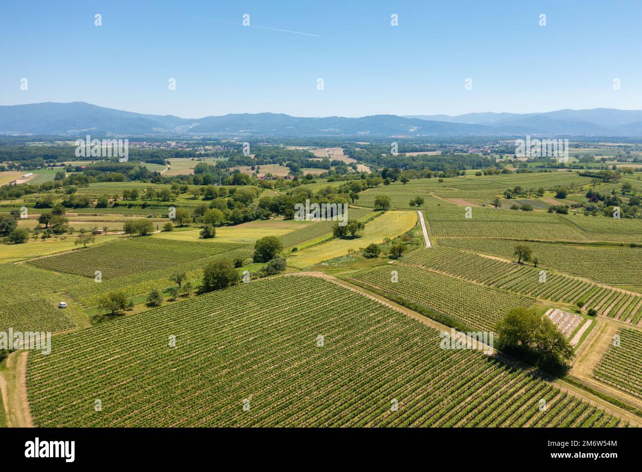 Das Weingut in der Region Breisgau, Deutschland, überfliegt Stockfoto