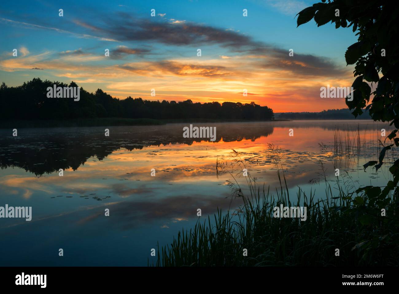 Weidelandschaft mit dramatischem Himmel auf dem See in Belarus Stockfoto