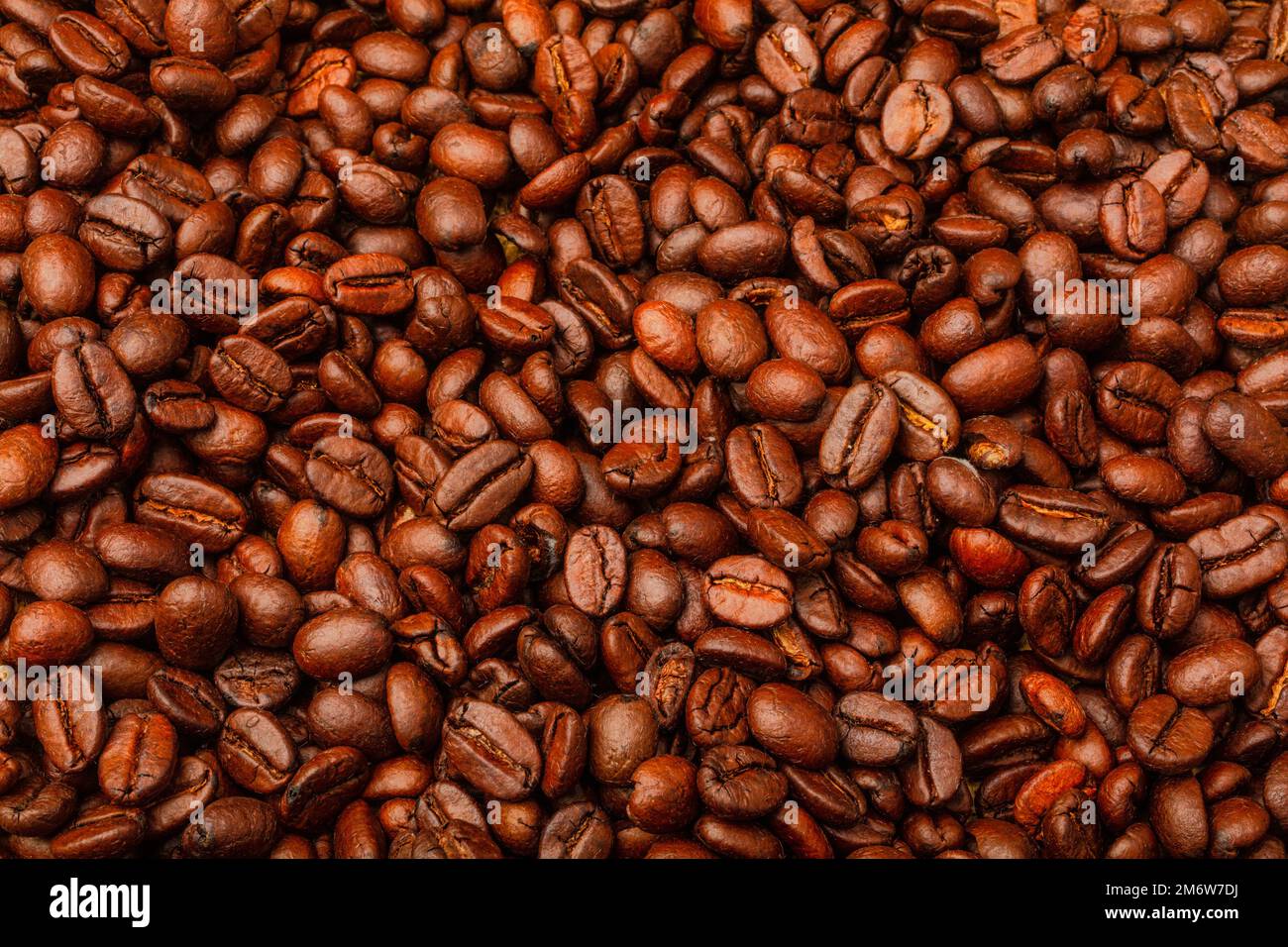 Geröstete Kaffeebohnen Still Life Stockfoto
