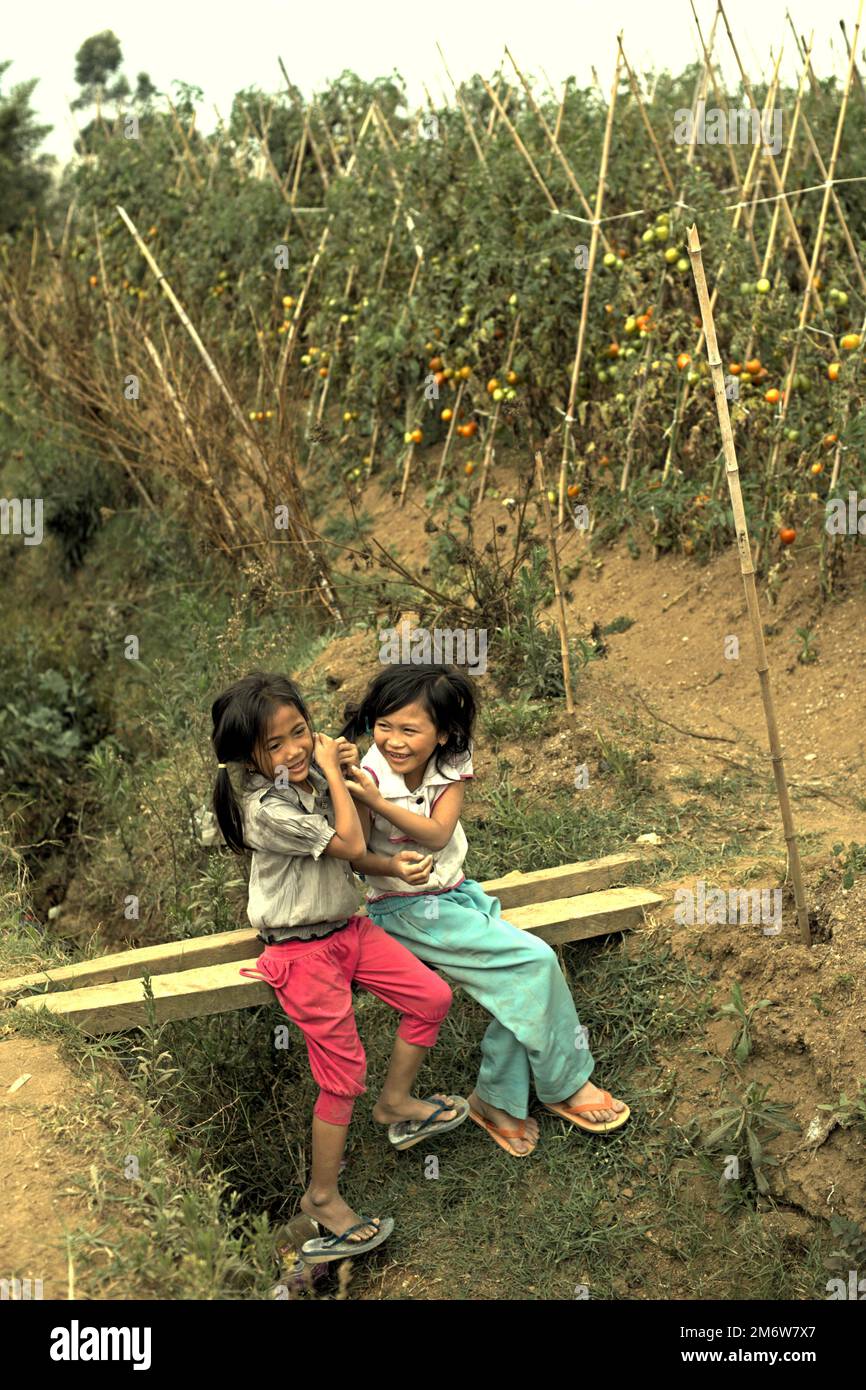 Kinder haben Freizeit, während sie über einem Graben auf einer Tomatenfarm im Dorf Sarongge, Ciputri, in der Nähe des Mount Gede Pangrango Nationalparks in West Java, Indonesien, sitzen. Die Erhaltung der Wälder sollte im Einklang mit den Bemühungen um den Ausbau der Kapazitäten der in der Umgebung lebenden Gemeinschaften erfolgen. Stockfoto