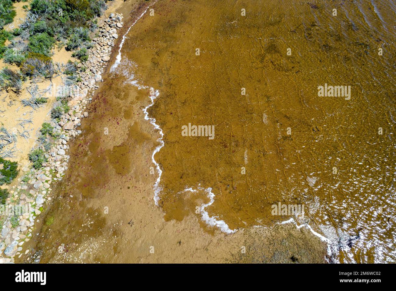 Ein Blick aus der Vogelperspektive auf einen isolierten Süßwasserstrand in der zum Weltkulturerbe gehörenden Region Tasmanien. Stockfoto
