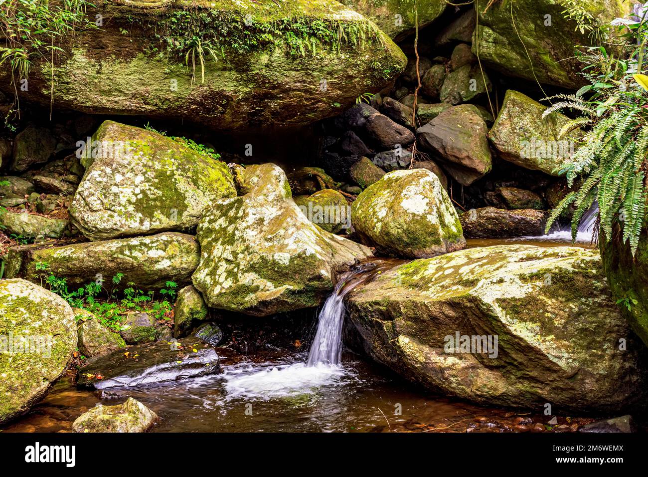 Kleine Kaskade zwischen mossigen Felsen und Regenwald auf Ilhabela Stockfoto