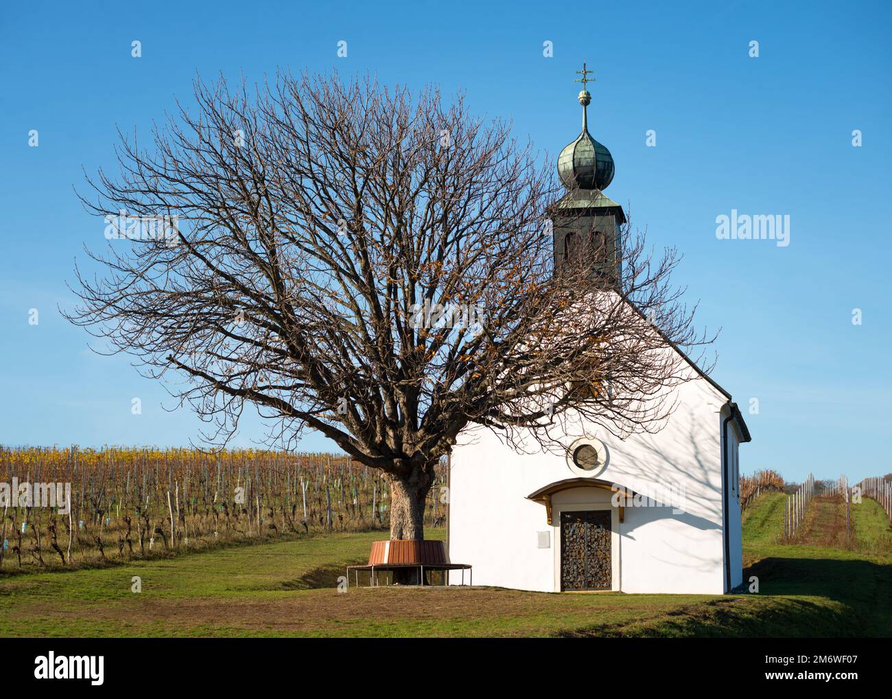 Herbstliche Weinberge, Weingartenkapelle in Neckenmarkt, Bezirk Oberpullendorf, Burgenland, Österreich Stockfoto