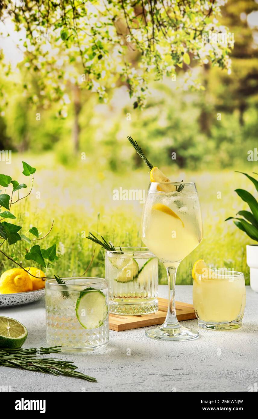 Vier farbenfrohe Sommercocktails auf dem Tisch. Starke Seltercocktails mit verschiedenen Früchten: Limette und Zitrone. Sommerparty im Freien Stockfoto