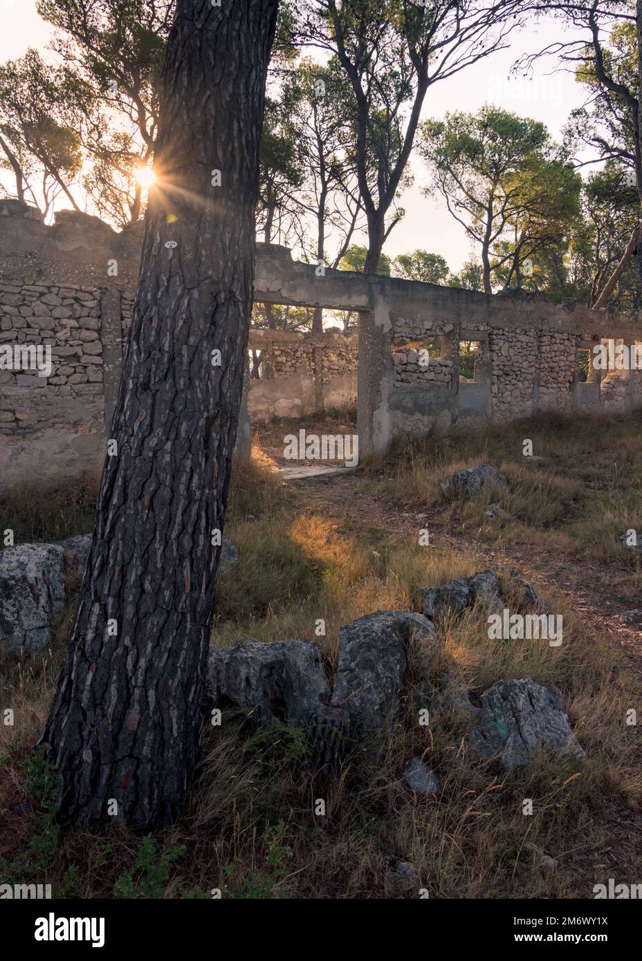 Verlassene Militärbunker, Gräben und Gräben. Der zweite Weltkrieg Grabenkrieg. Alter Betonbunker in Kroatien, bei Å ibenik. Stockfoto