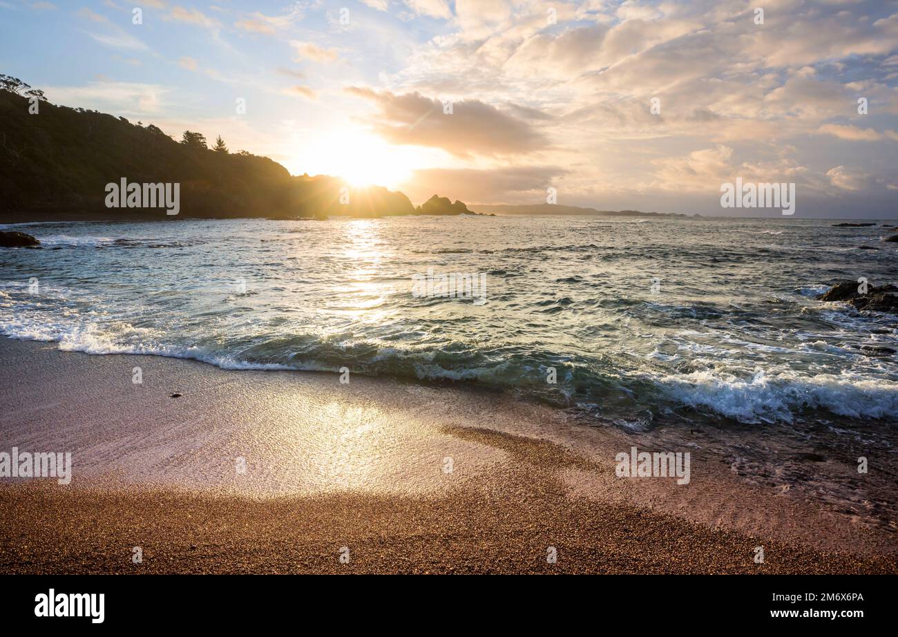 Neuseeland-Küste Stockfoto