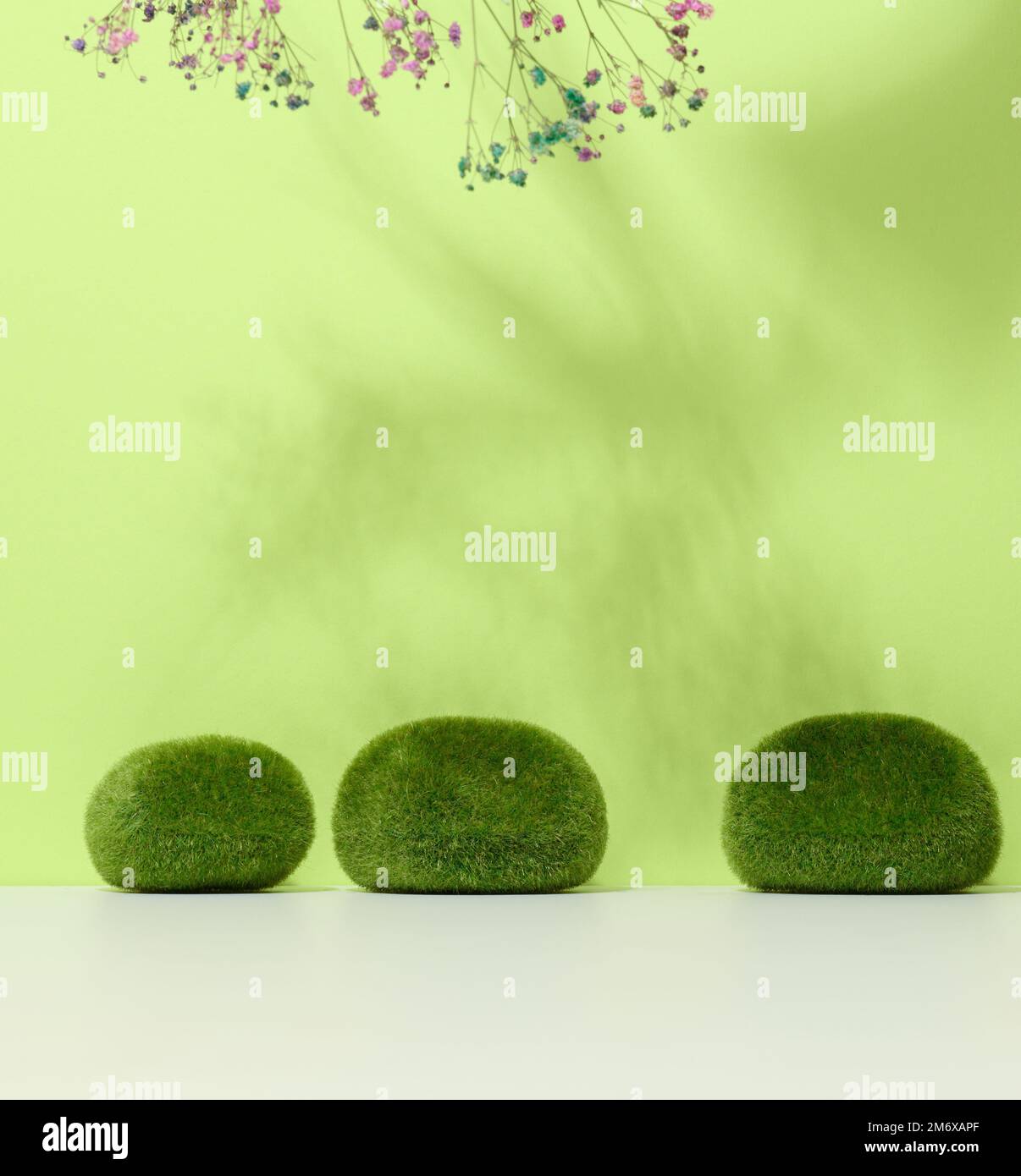 Grüne Moosstücke und eine Bühne für die Vorführung von Produkten, Kosmetika. Platz für eine Inschrift Stockfoto