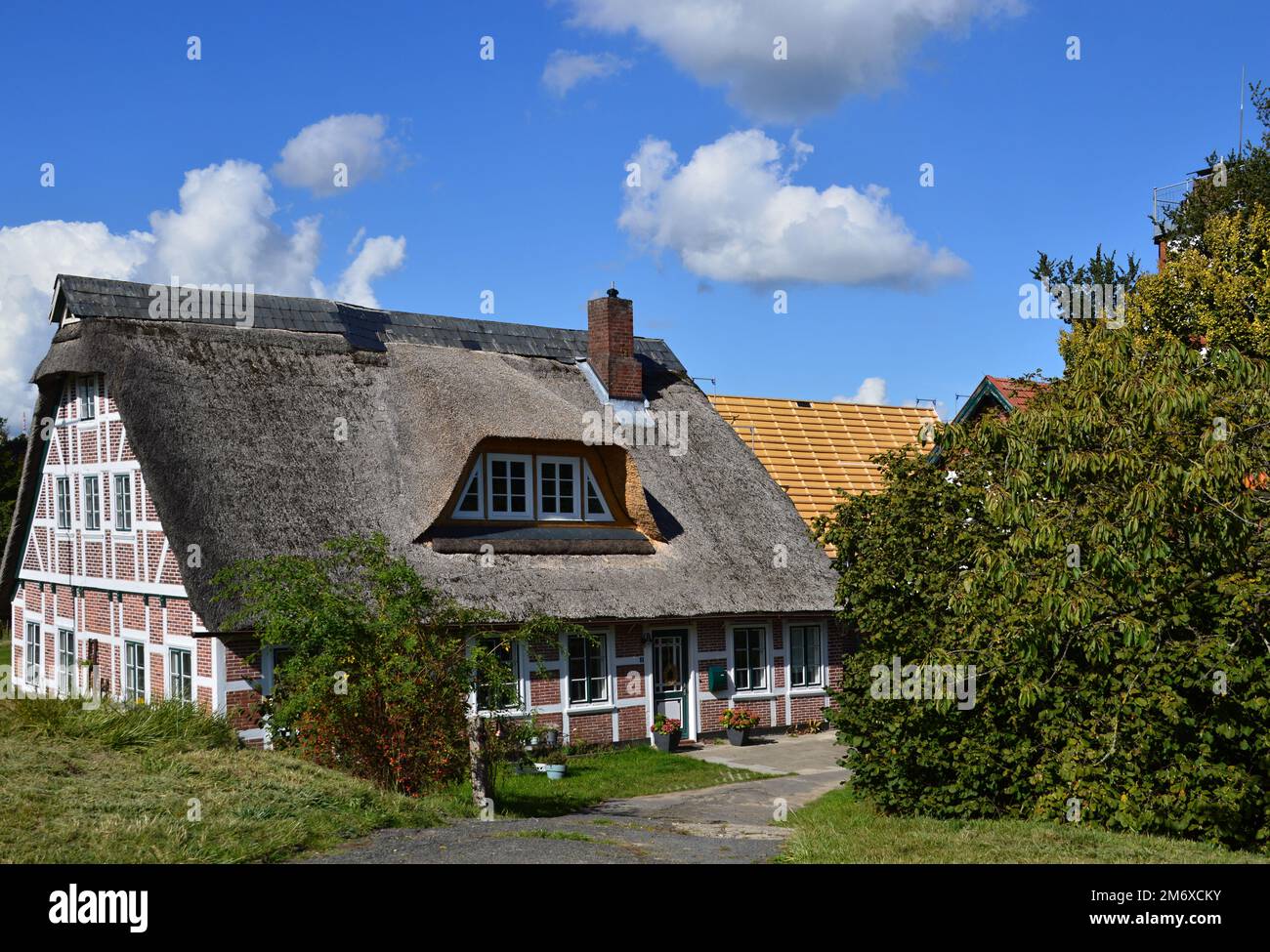 Historisches Gebäude in der Altstadt an der Elbe, Niedersachsen Stockfoto