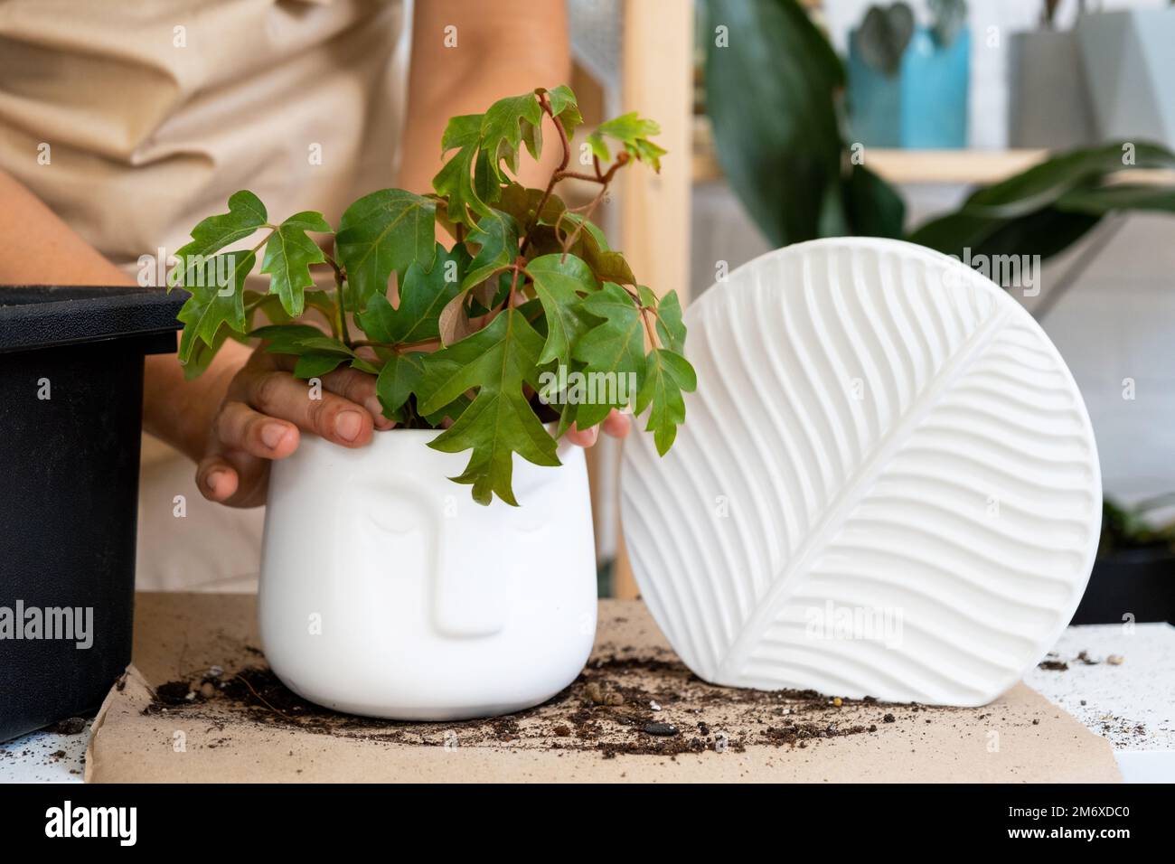 Pilipane Blumenzwiebel-Pflanzer – Gartenwerkzeug Aus Legierung, Mit T-Griff, Für Umpflanzen & Bodenproben