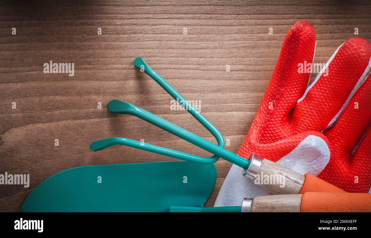 Gartenhandschuhe Kelle und Rechen auf Holzfläche. Stockfoto