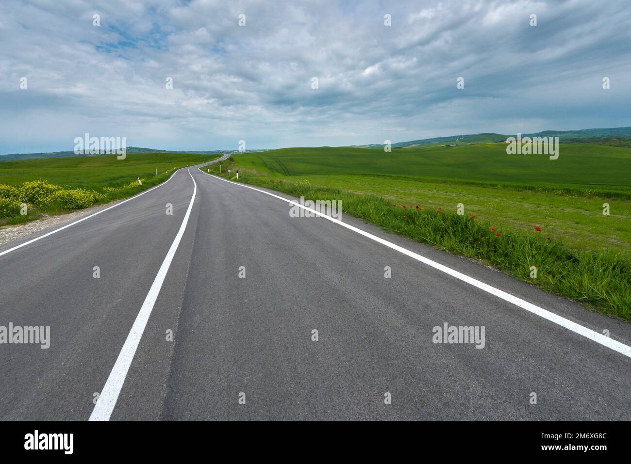 Asphaltstraße inmitten der grünen Hügel der Toskana, Italien Stockfoto