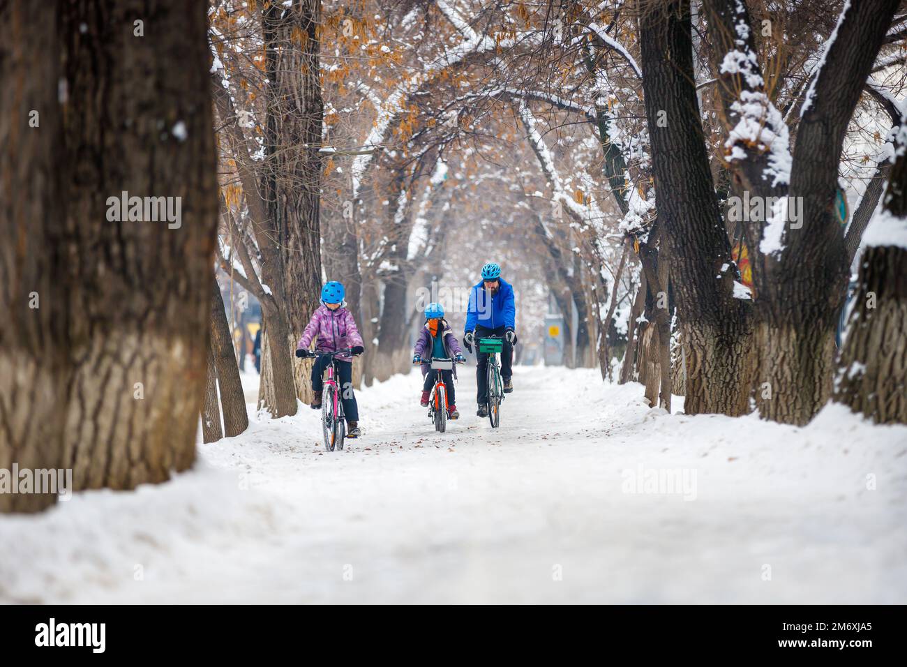 Vater mit Kindern fährt im Winter Fahrrad. Mann mit Sohn und Tochter, der im Winterpark Fahrrad fährt Stockfoto