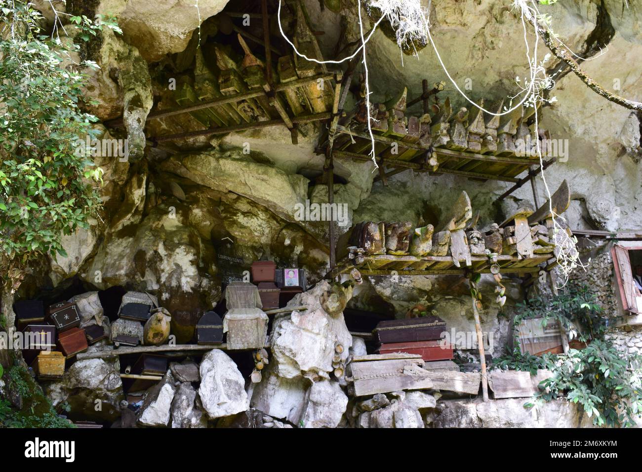 Särge und Gräber wurden in Felsklippen gelegt. Diese Methode ist eine Tradition, die als Grab für Menschen benutzt wird, die im Tana-Toraja-Stamm, Sulawesi, starben Stockfoto