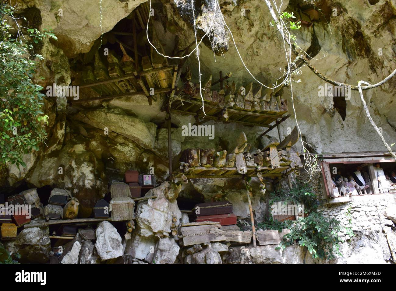 Särge und Gräber wurden in Felsklippen gelegt. Diese Methode ist eine Tradition, die als Grab für Menschen benutzt wird, die im Tana-Toraja-Stamm, Sulawesi, starben Stockfoto